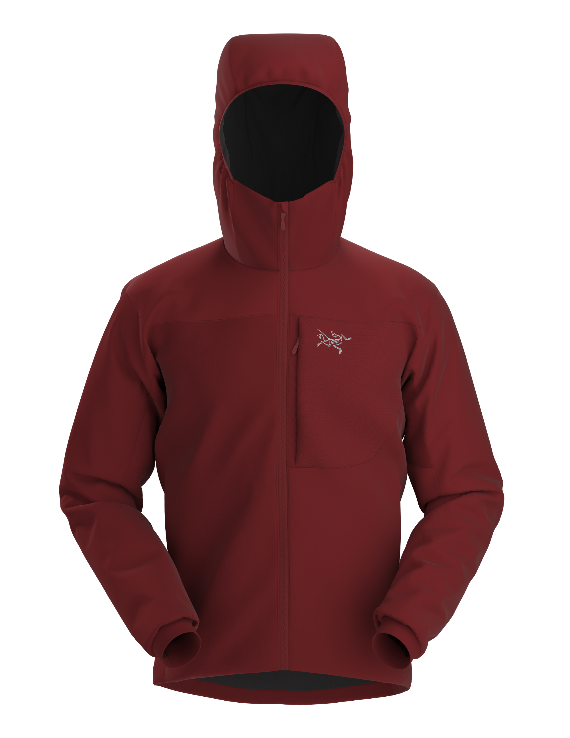 Arc'teryx Men's Proton LT Hoody - Winter 2022/2023