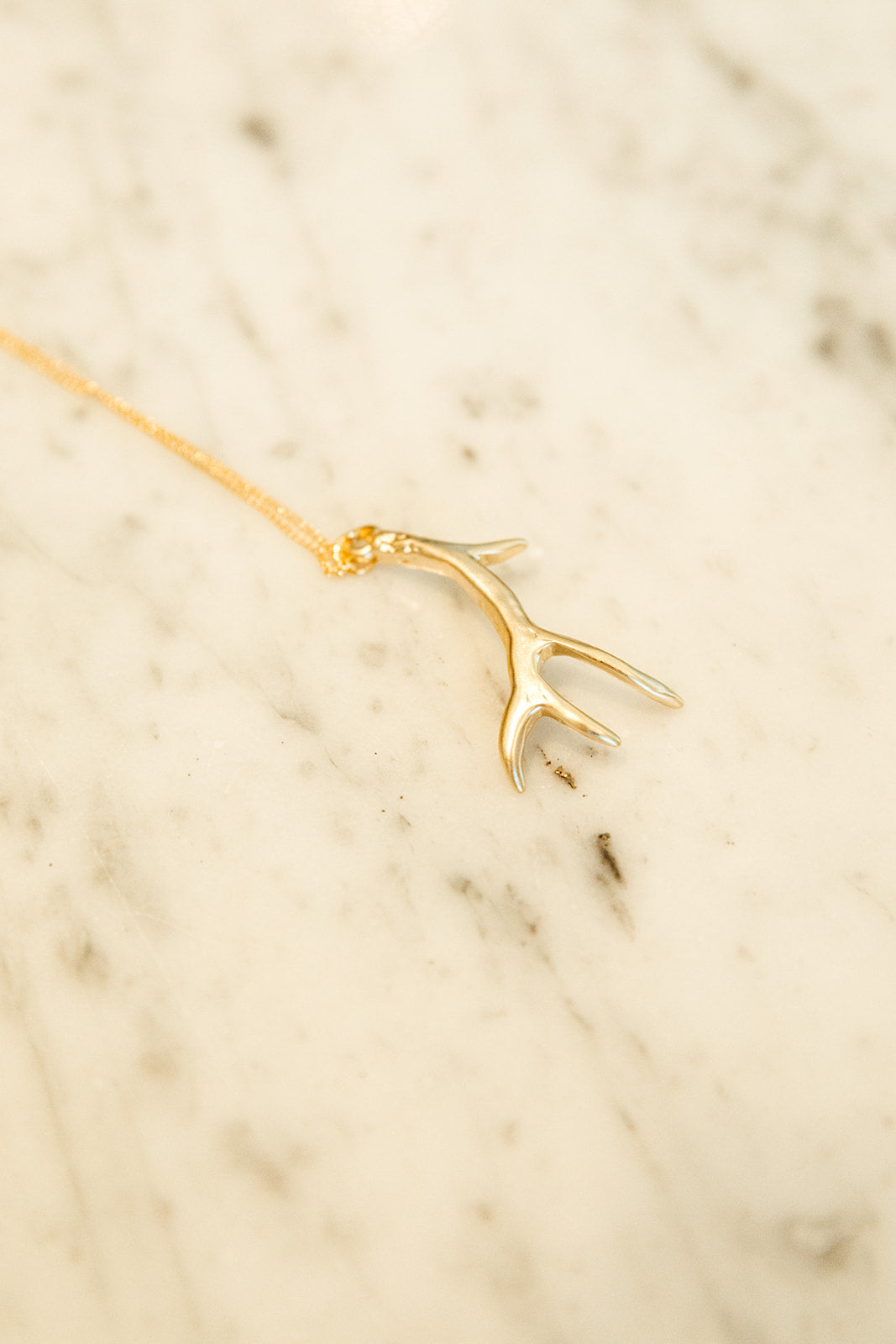 Long Antler Pendant Necklace