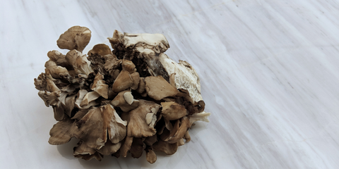 what is maitake