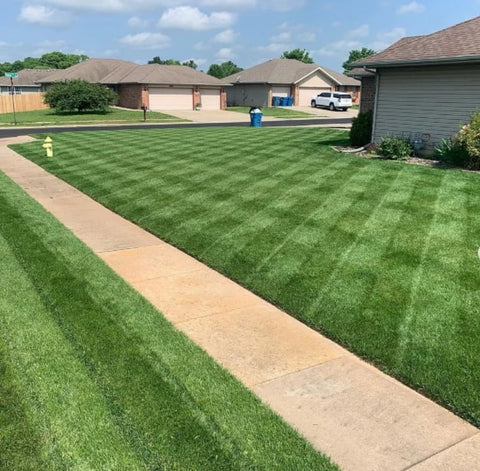 The lawn is an intoxicating sight. After 1 month, the seed spray will let you have a green lawn and become the enviable house of your neighbors!