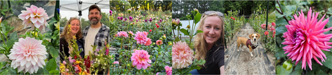 Photos of Lucky Penny Flower Farm