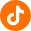 TikTok Icon