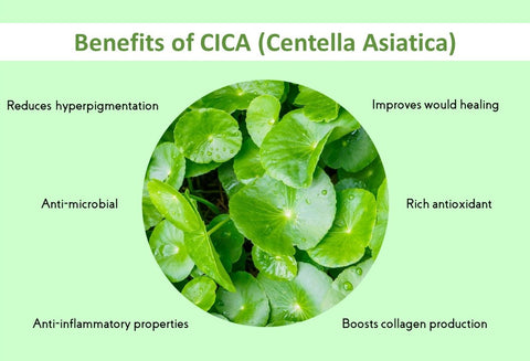 CICA (Centella Asiatica)