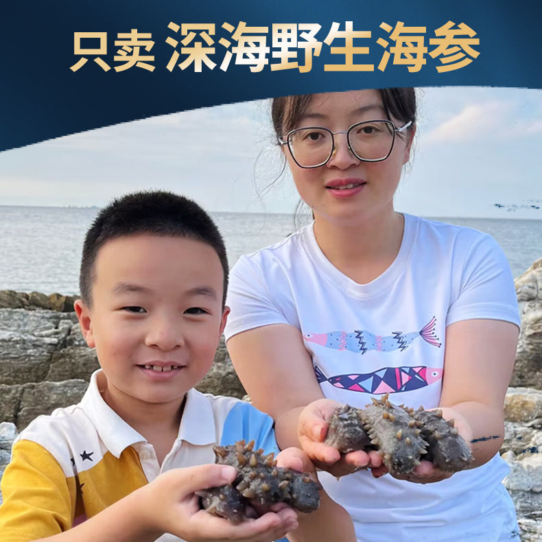 LL Sea Cucumber Dried 50g, Long Island Wild Pure Dry, Bottom-Sown, Non-Gift Box, Dalian Instant Eat Liao Sea Cucumber - Image 3