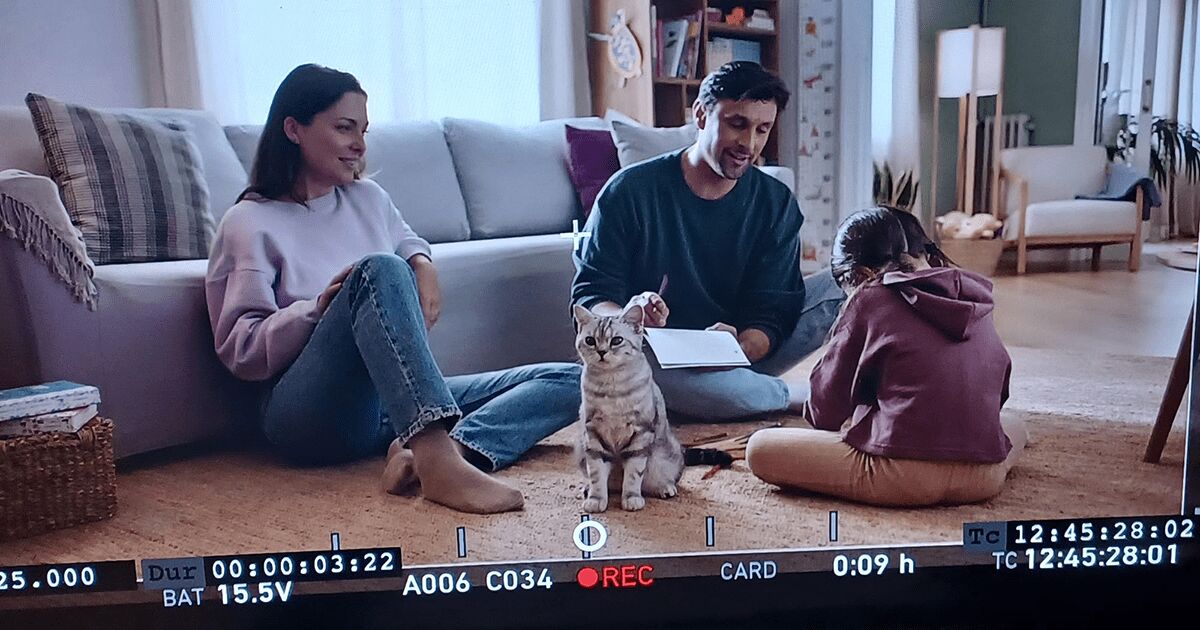 family with cat on film set