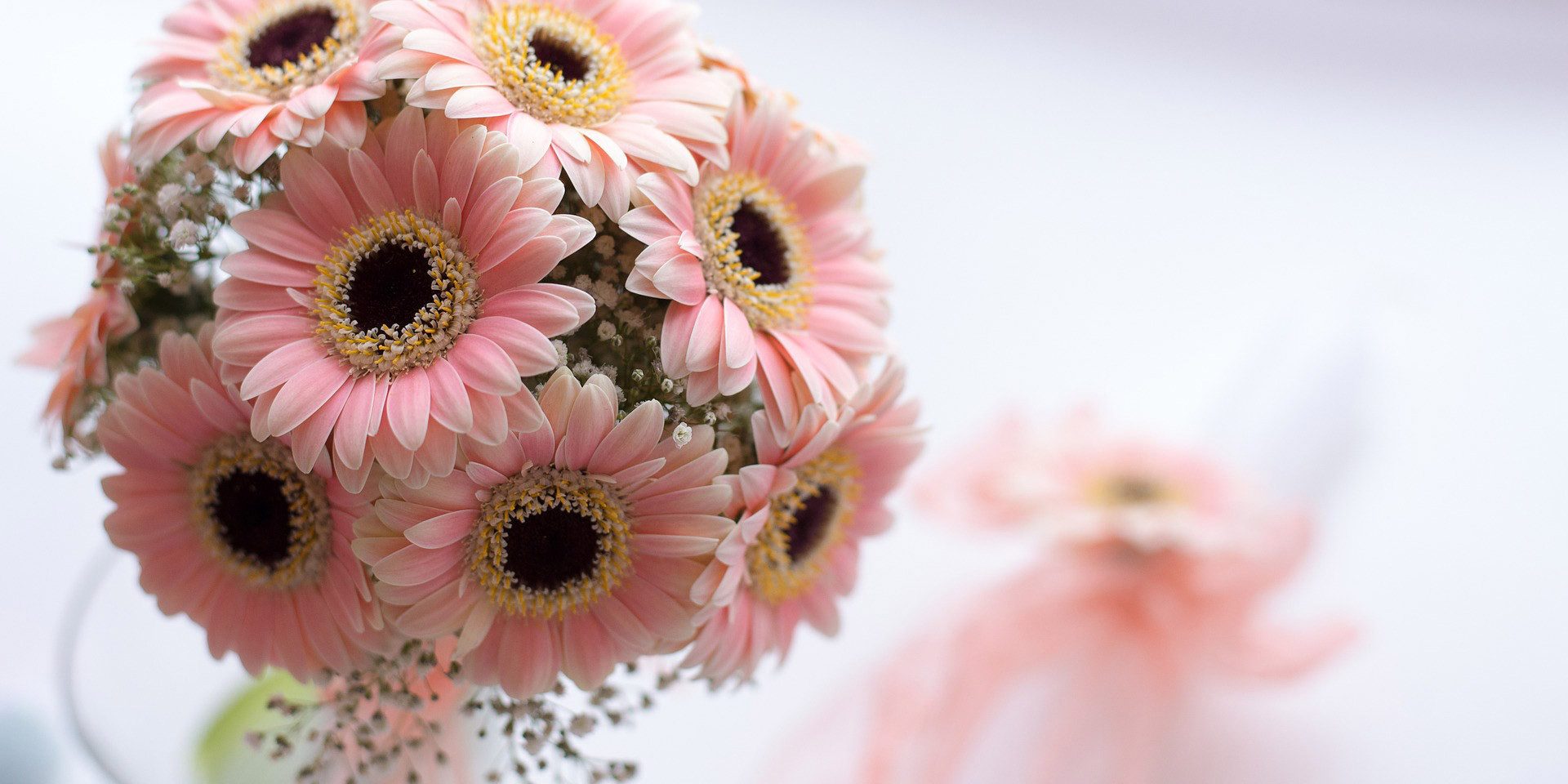 pink flowers in a vase