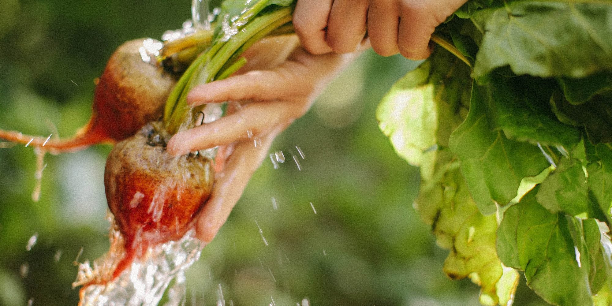 Washing beets