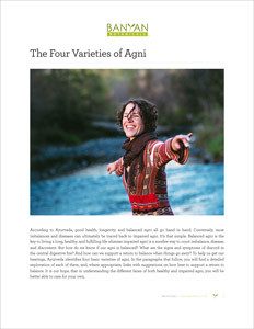 The Four Varieties of Agni PDF