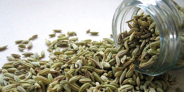 fennel seeds