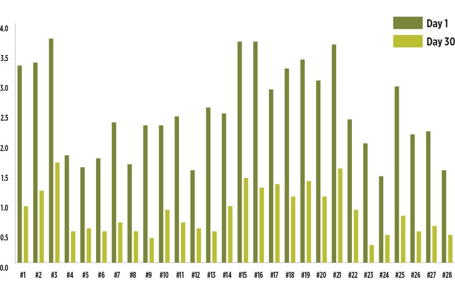 Figure 11 Graph