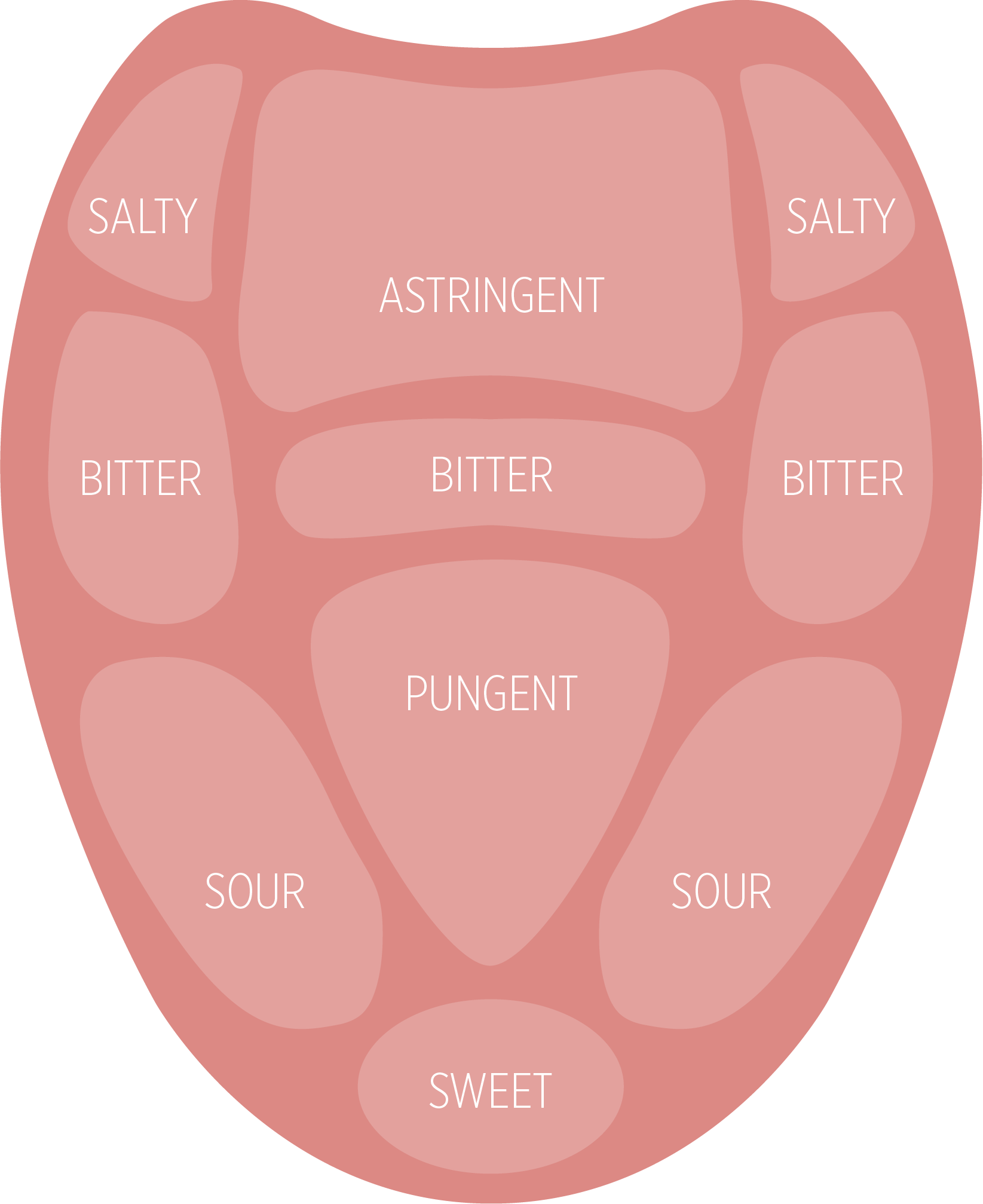 Tongue Organs