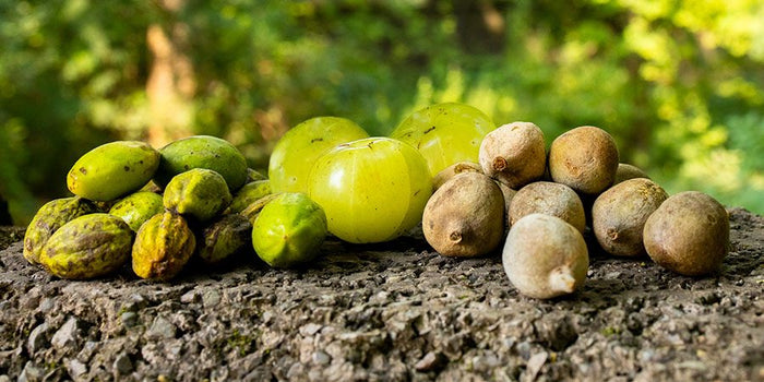 triphala fruits in a pile 