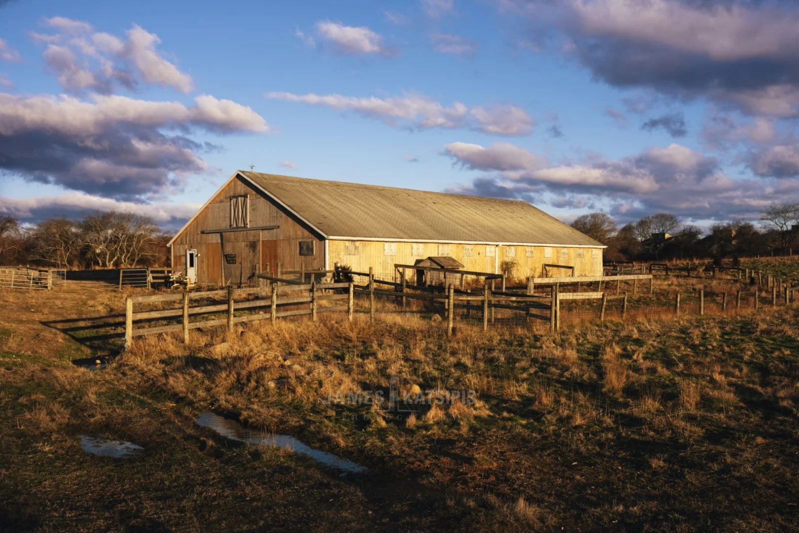 Rita's Stables