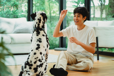 https://www.pexels.com/photo/a-man-training-his-pet-5482841/