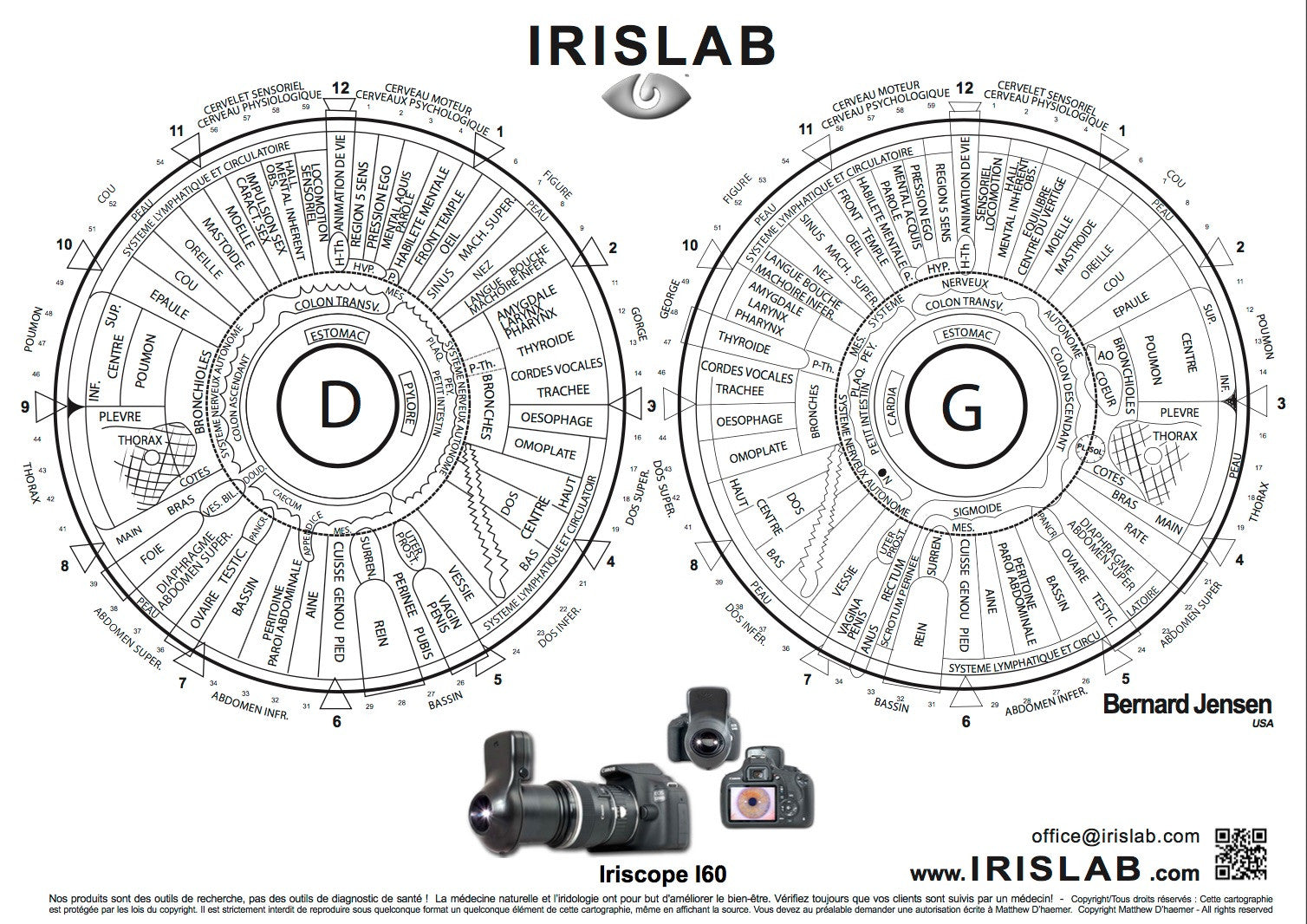 Iridology Chart Software