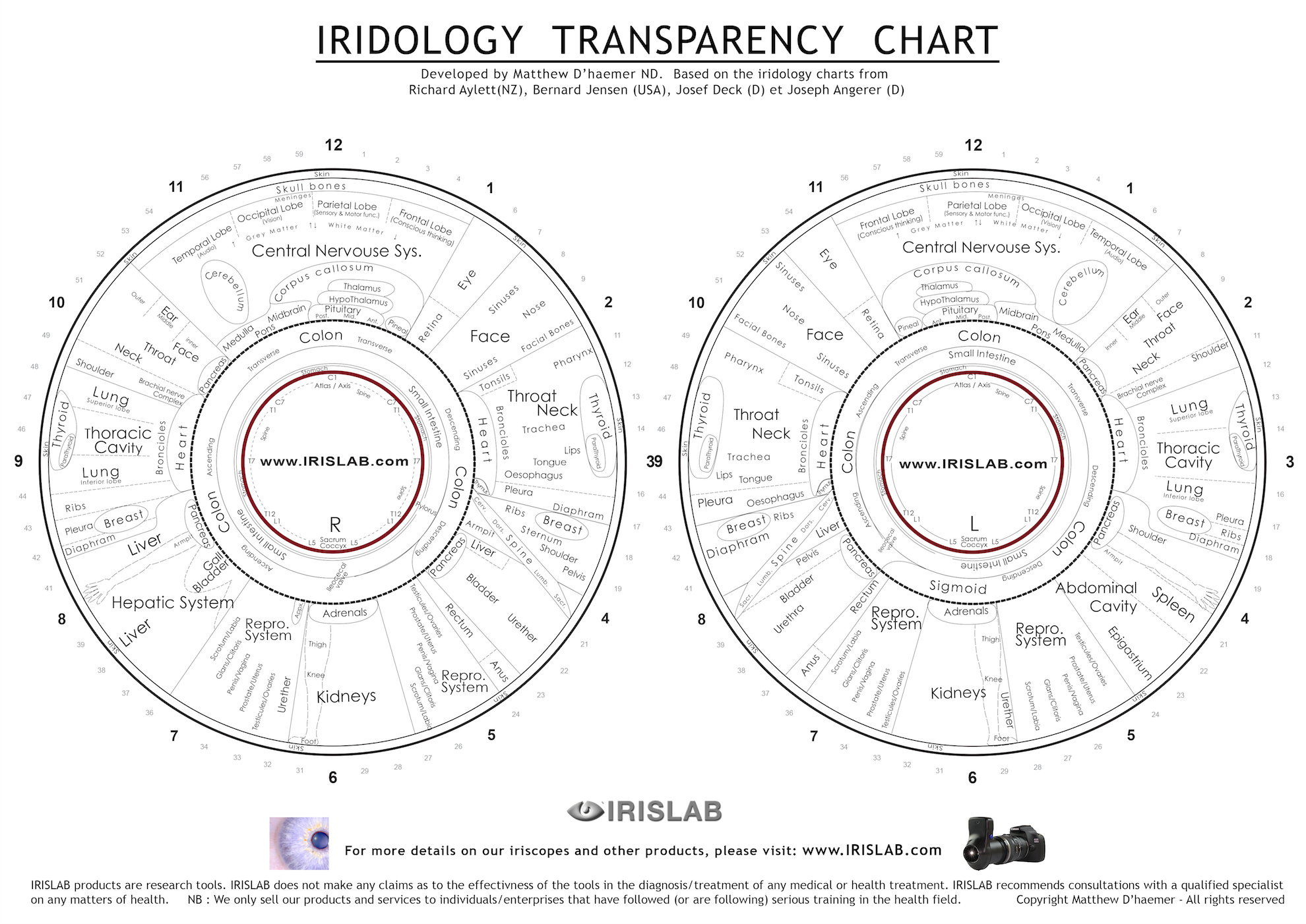 Iridology charts IRISLAB