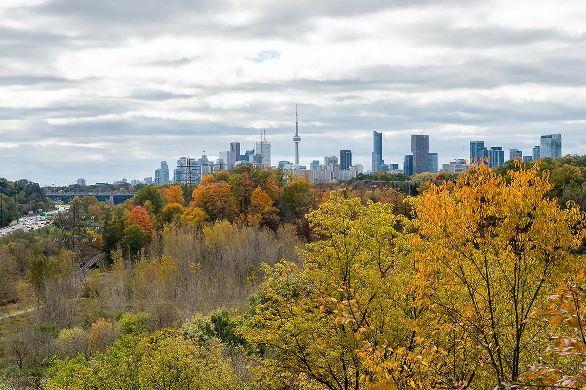Explore Crothers Woods
