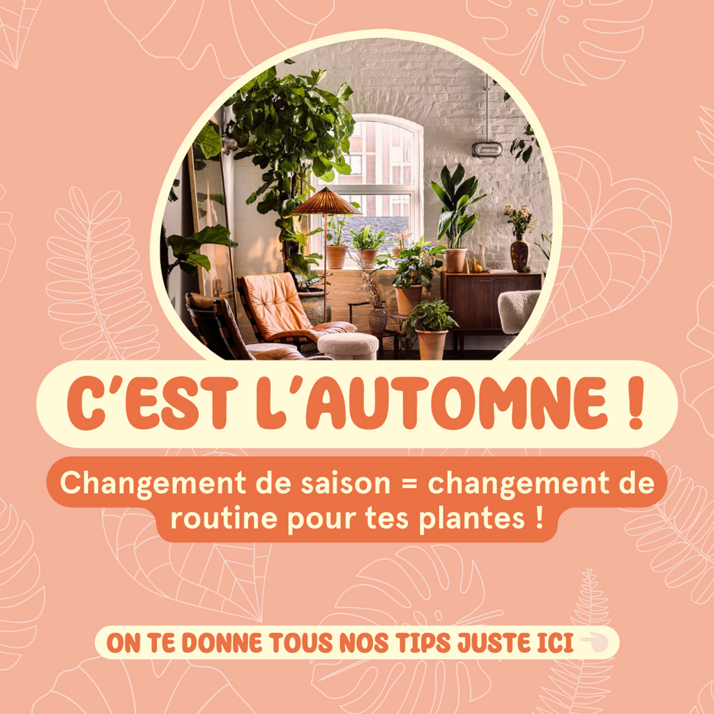 C'est l'automne pour les plantes