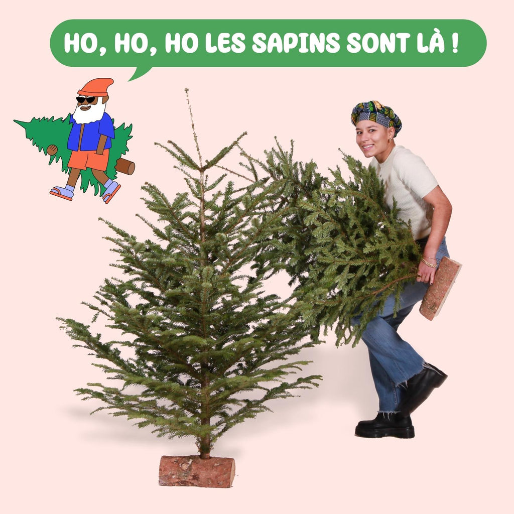 Les sapins sont là