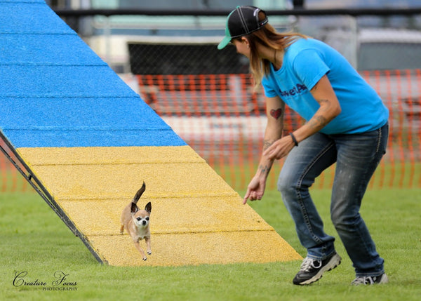 Corona Winner Of The Dogs Naturally Contest Treats Happen