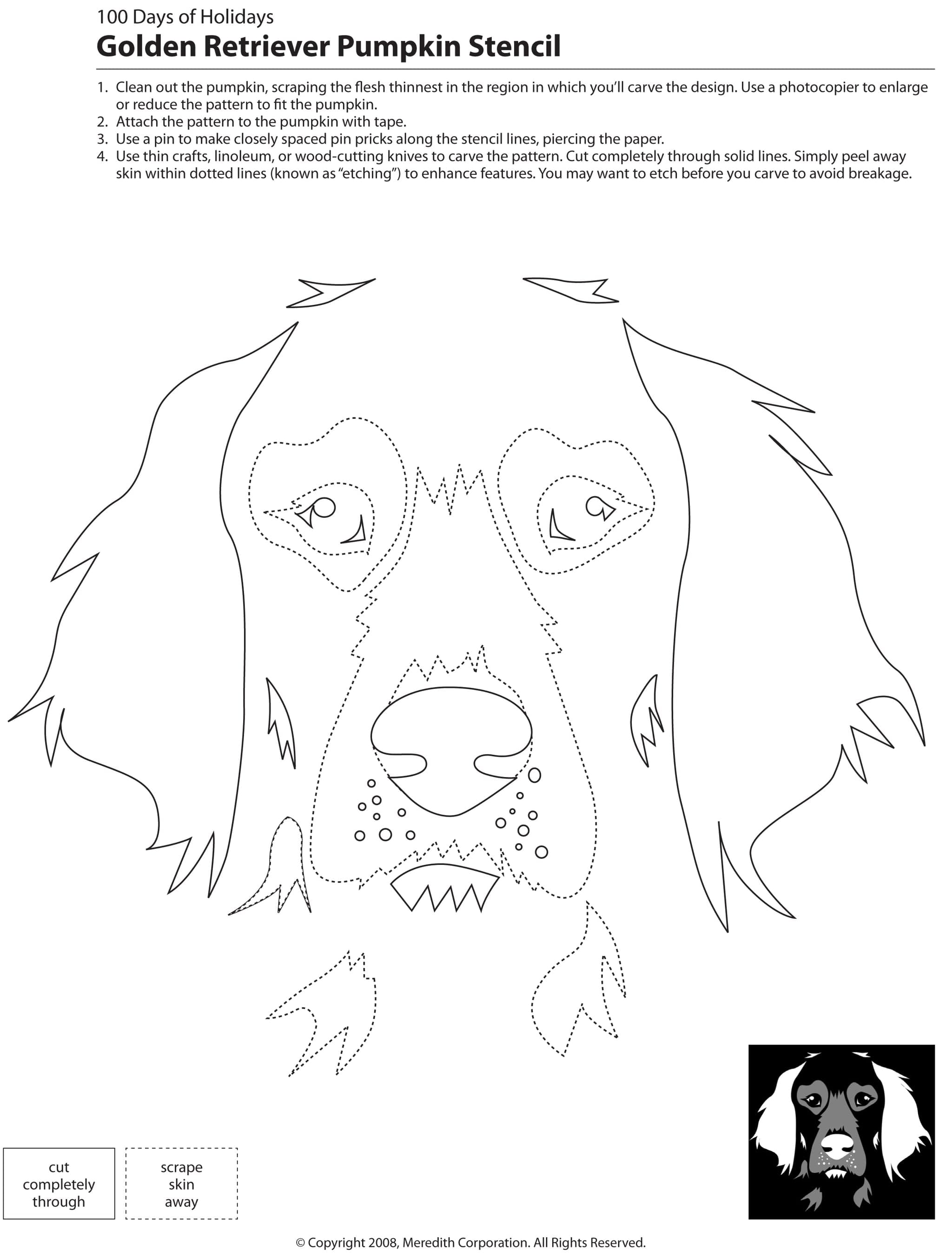 best-templates-bulldog-pumpkin-stencil