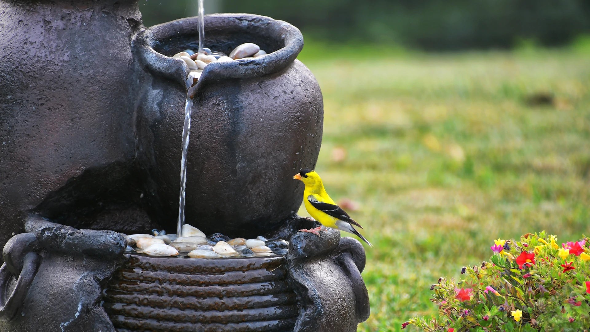 birdbaths fountains for your backyard