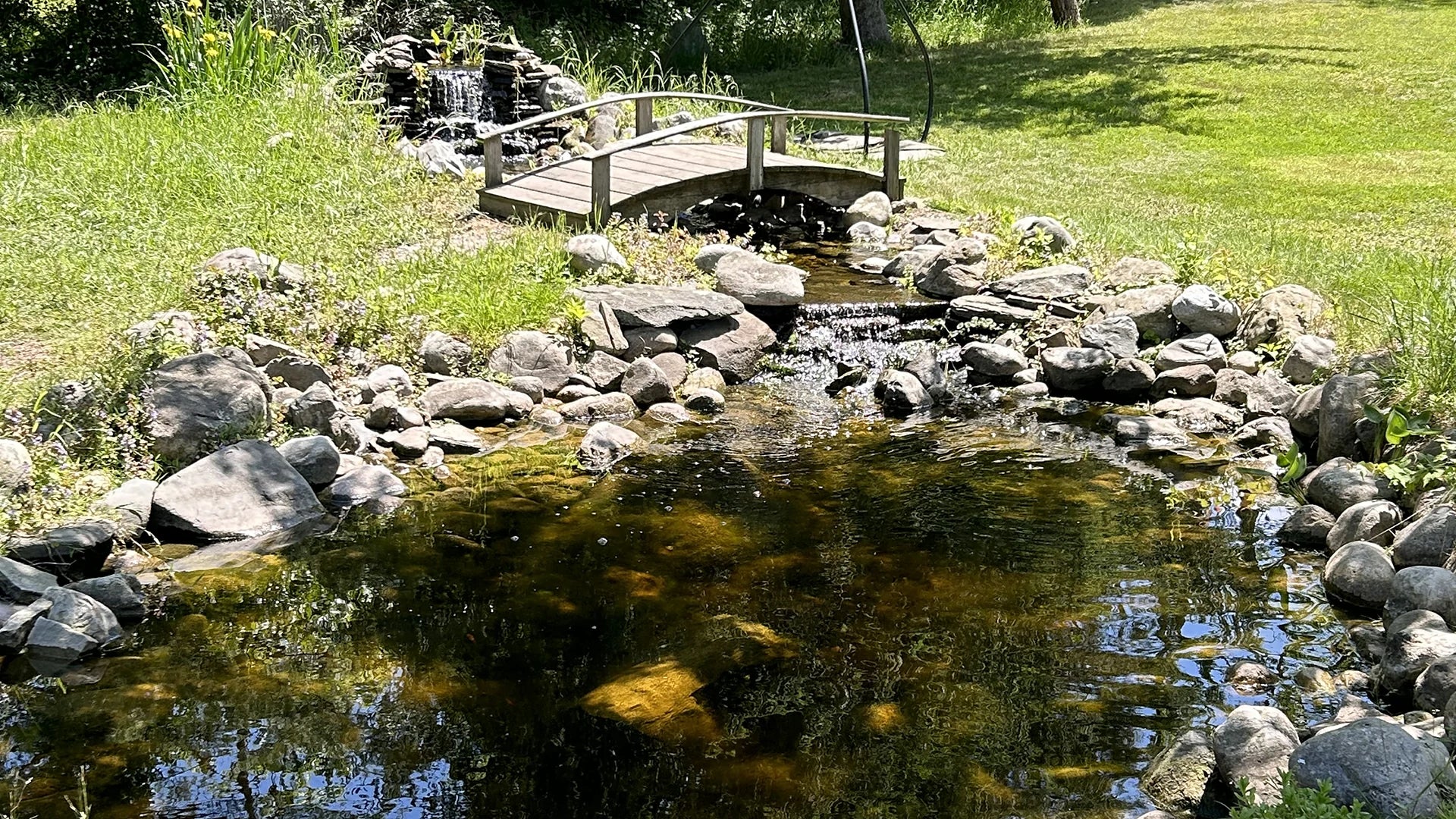 clear water needs oxygenation