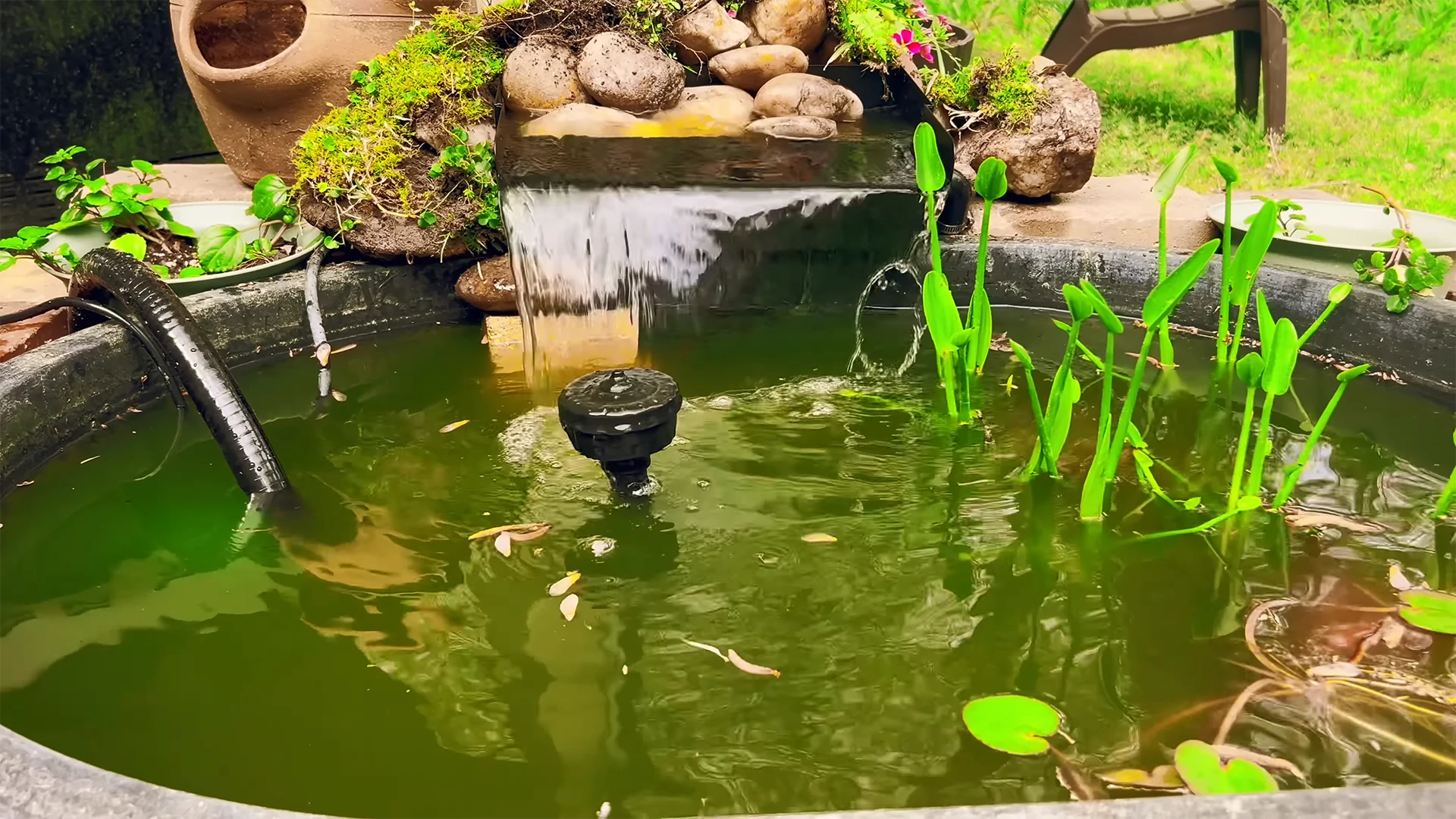 sustainable pond with the waterfall kit