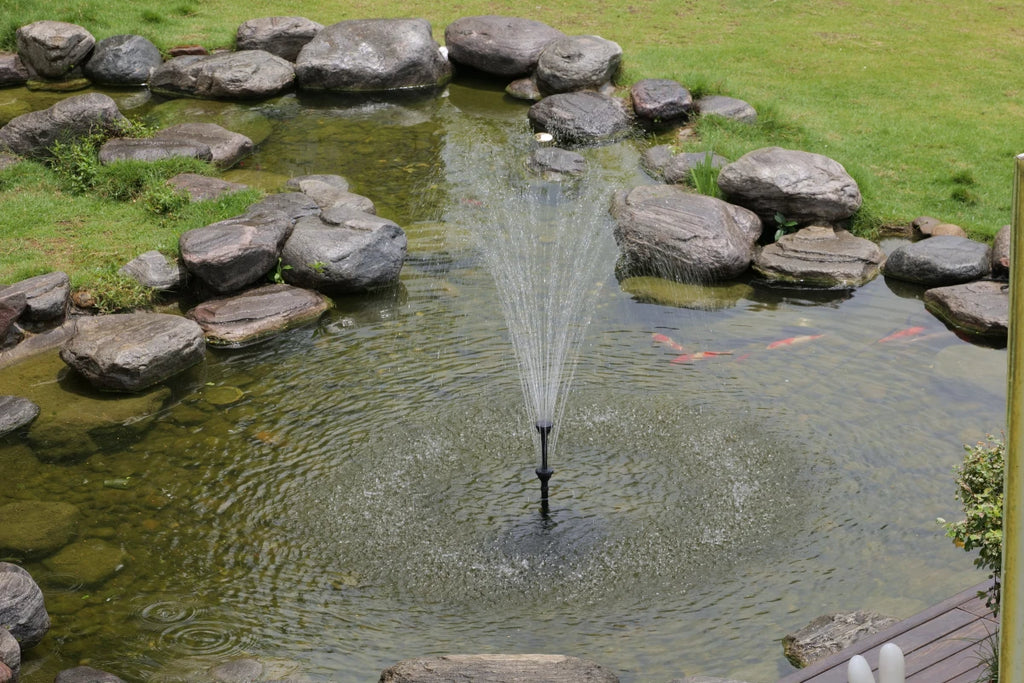 watching the fish swimming under the fountain