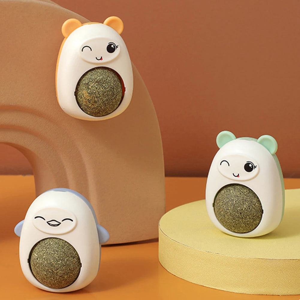 Plastic Catnip Ball with Transparent Cover