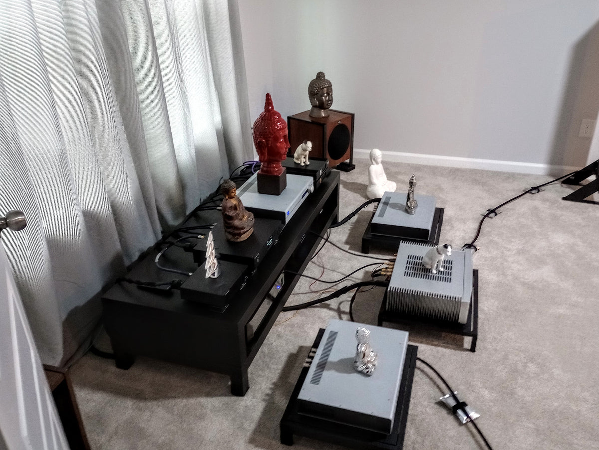 The Buddhas and RCA dogs have made themselves at home.