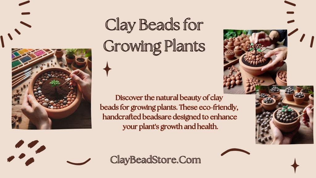 Clay Beads for Growing Plants
