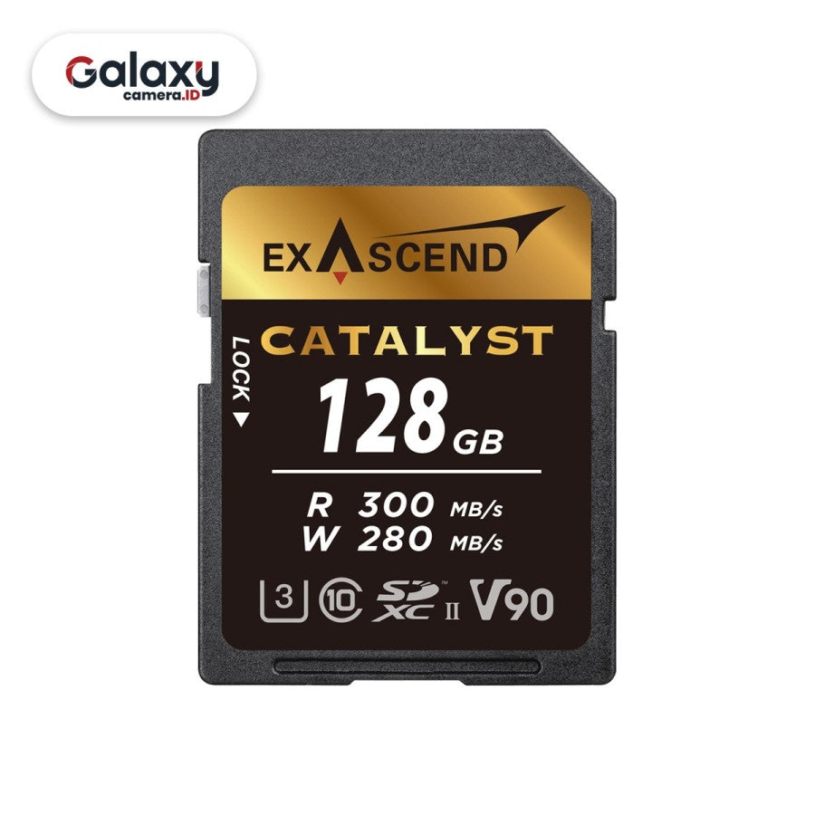 Memory SDXC Exascend Catalyst 128GB UHS II 128 GB 300MB/s Memori Resmi