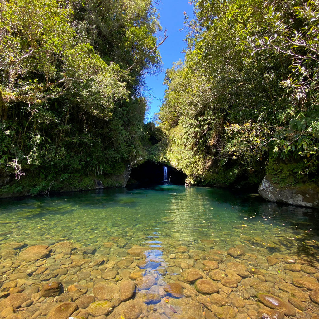 Arche du paradis La Réunion Secret Spot