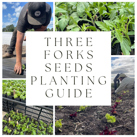 Three Forks Seeds Planting Guide