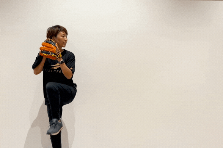 シャドータオル使用GIF