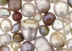 scottish pearls