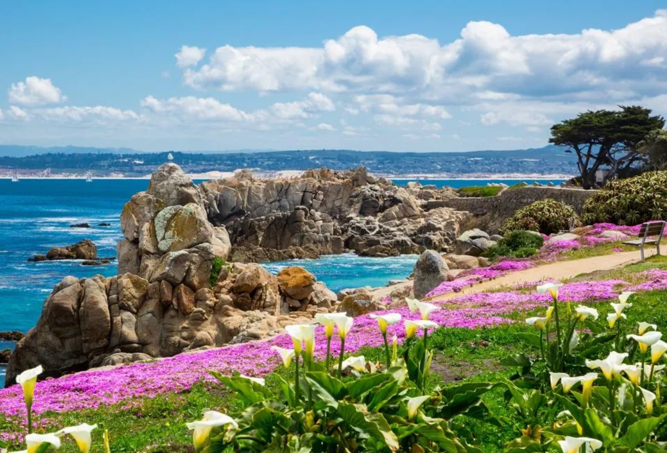 Monterey coastline.GETTY