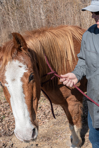 how to braid paracord to make your own horse tack