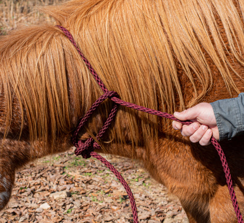 paracord horse tack