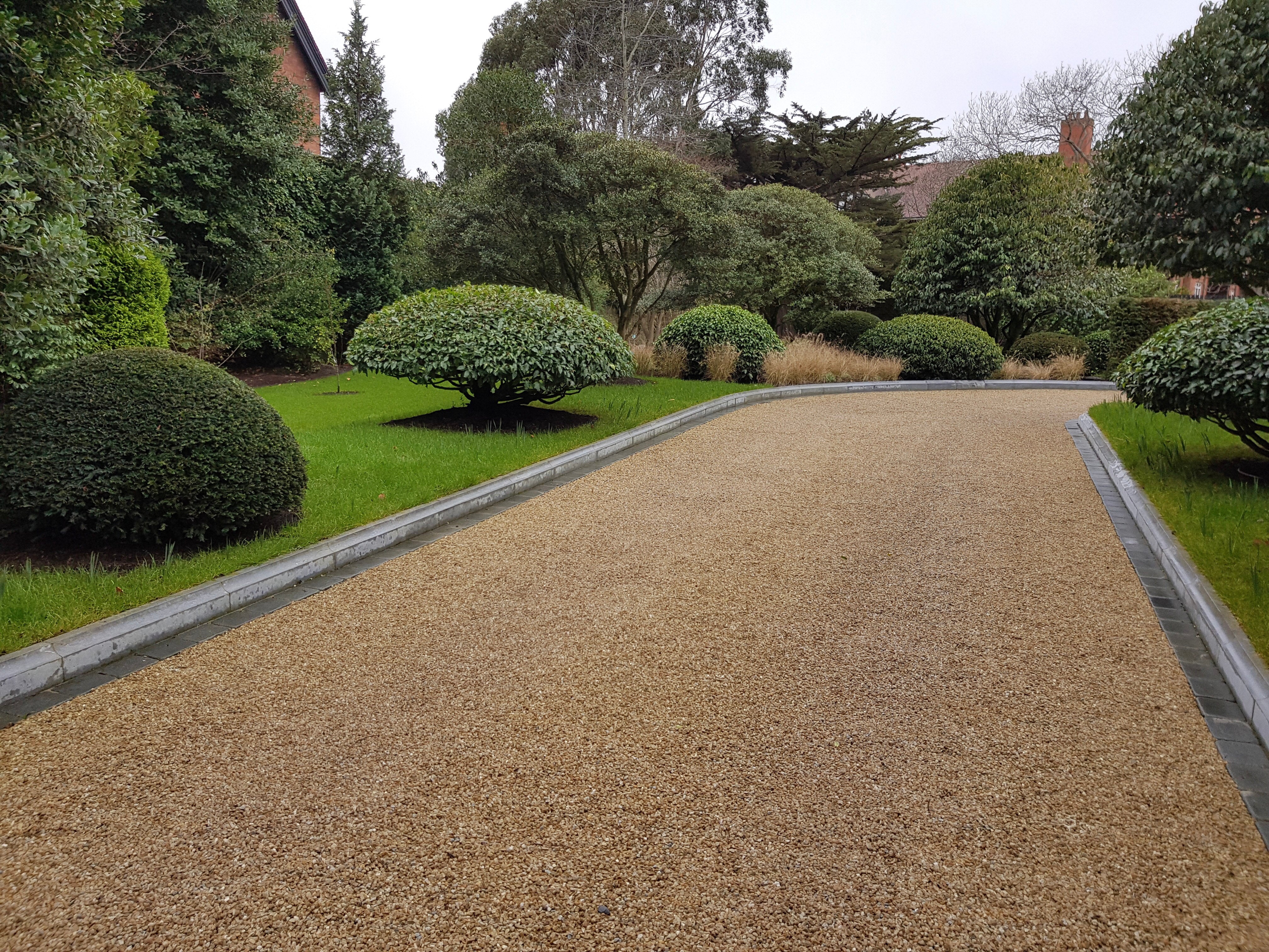 plants along house path