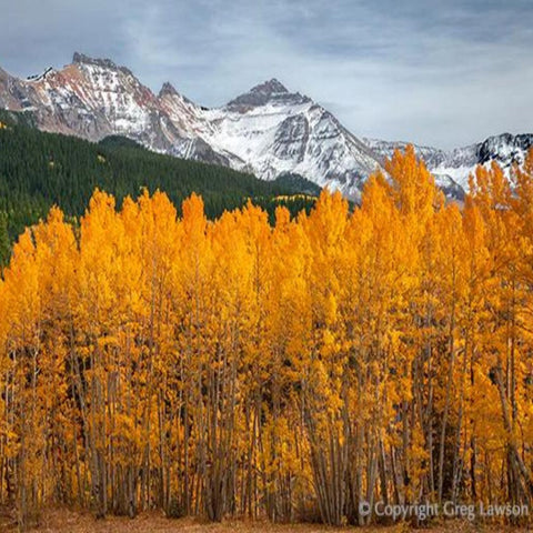 Aspen Heights, photographed by Greg Lawson. 