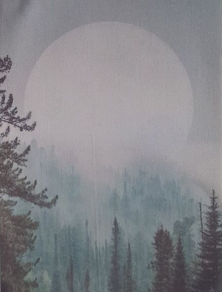 Misty Moonrise Designer Printed AIDA Fabric. Canvas for embroidery with an applied background KF-1105A