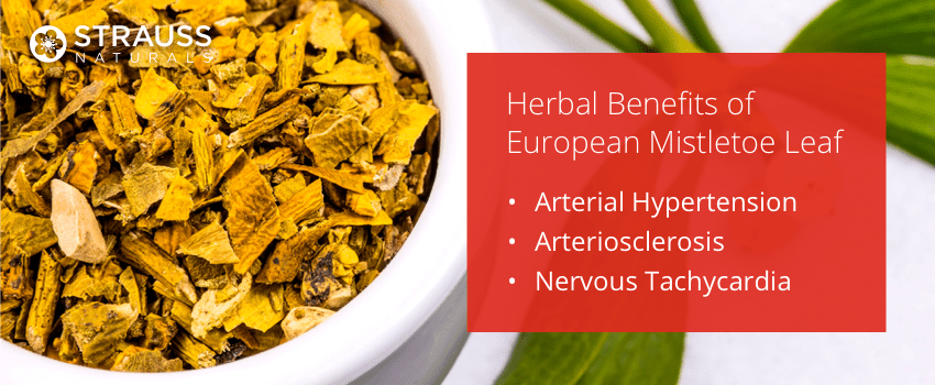 Herbal Benefits of European Mistletoe Leaf