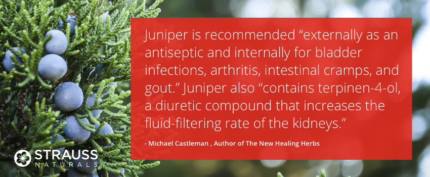 Juniper Berry Overview