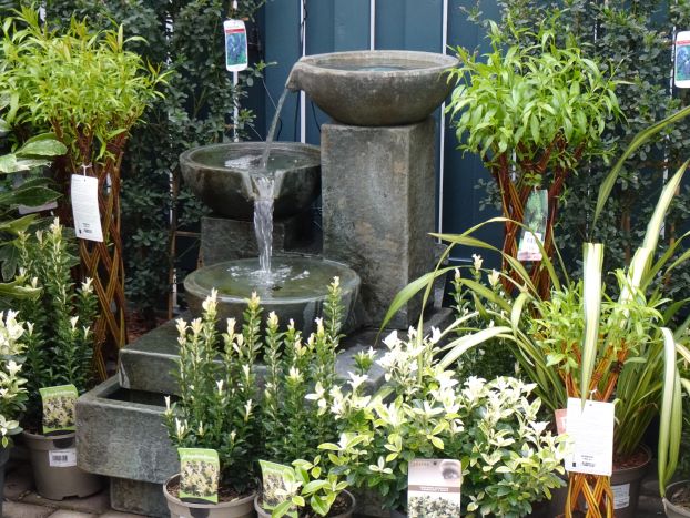 Water features and shrubs