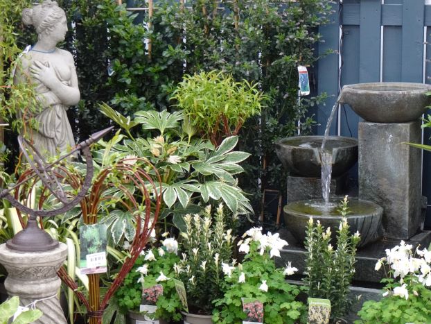 Inspiration for small gardens at Hayes Garden World