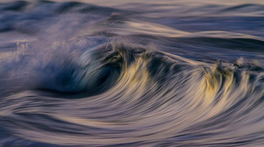 A ROLLING WAVE BY LANCE MORGAN