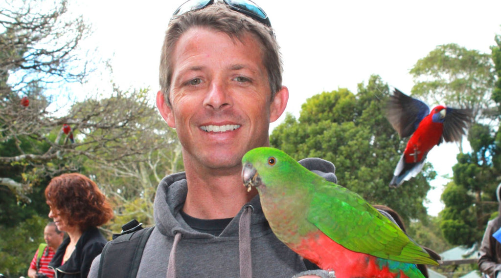 A man smiling with a King parrot on his arm at Lamington National Park.
