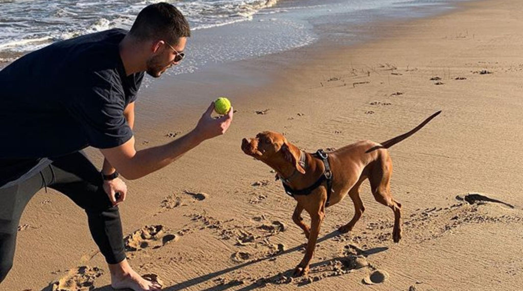 DARCY HARDING PLAYING WITH HIS DOG ON A BEACH